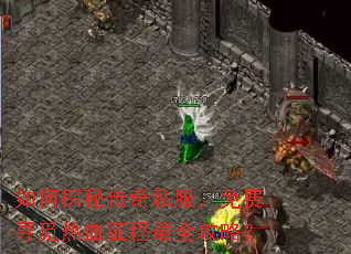 ���̽�ش���˽�������Ѱ����Ѫ������ȫ���ԣ�