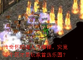 ���滳�ɷ�������������ĸ������������ѡ��԰��