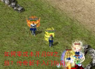 �����ɱ�����GM֮�ã�������������ָ��