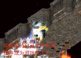 ��μ���Լ��Ĵ������벢��Ϊ��Ϸ���֣�