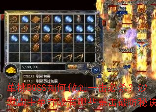 ����BOSS�������һ����ɱ��ɳ�ǰ�������ս����Щ�����Ʒ��ؾ���