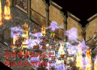 ��ο���������ʦ�ȼ�����Ч׬Ǯ��