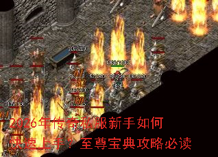 2026�괫��˽��������ο������֣����𱦵乥�Աض�