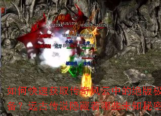 ��ο��ٻ�ȡ��������еľ��漫Ʒװ����Զ�Ŵ�˵��������Щδ֪���ܣ�