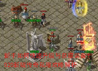 ������ο����������ȡװ����020�°洫��˽�����Խ���