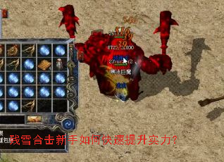 ��ѩ�ϻ�������ο�������ʵ����