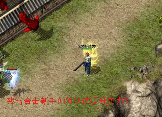 ��ѩ�ϻ�������ο�������ʵ����