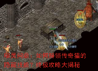 �����ʶ�����ν�������è�����ؼ��ܣ��ռ����Դ����