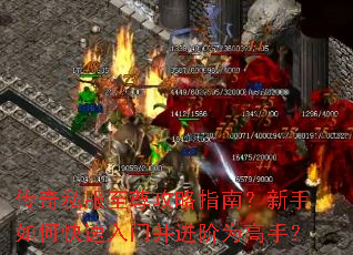 ����˽��������ָ�ϣ�������ο������Ų�����Ϊ���֣�