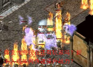 ΢�䴫�����ڻ�����������������ο�������ս����