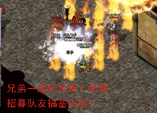 �ֵ�һ���洫�棿�����ļ���Ѹ�����ף�