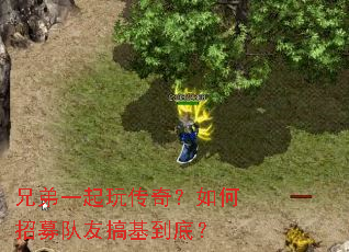 �ֵ�һ���洫�棿�����ļ���Ѹ�����ף�