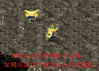 1.76极品火龙传奇新手攻略:如何从菜鸟快速成长为玛法霸主? 1.76极品火龙传奇新手攻略:如何从菜鸟快速成长为玛法霸主?