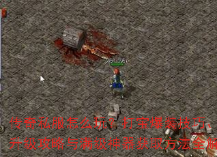 传奇私服怎么玩?打宝爆装技巧、飞速升级攻略与满级神器获取方法全解析 传奇私服怎么玩?打宝爆装技巧、飞速升级攻略与满级神器获取方法全解析