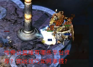 ���湫�������Щƽ̨�Ƽ���ʵս����������գ�