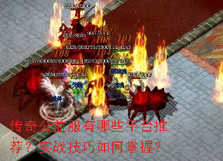 ���湫�������Щƽ̨�Ƽ���ʵս����������գ�