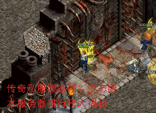 ����˽���ļ�ǿ����̬�汾���������а�����