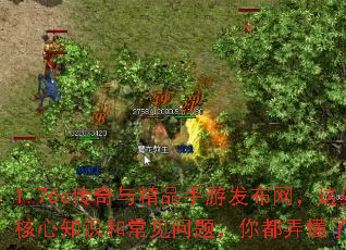 1.76c传奇与精品手游发布网,这些核心知识和常见问题,你都弄懂了吗? 1.76c传奇与精品手游发布网,这些核心知识和常见问题,你都弄懂了吗?
