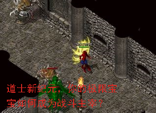 道士新纪元,你的极限宝宝如何成为战斗主宰? 道士新纪元,你的极限宝宝如何成为战斗主宰?
