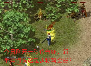 ���ոտ�һ�봫��SF��������ο����𲽳ư�ȫ����