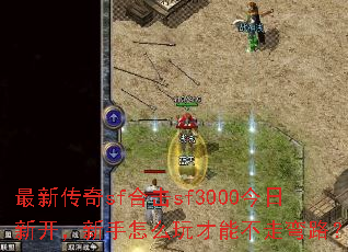 ���´���sf�ϻ�sf3000�����¿���������ô����ܲ�����·��