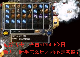 ���´���sf�ϻ�sf3000�����¿���������ô����ܲ�����·��