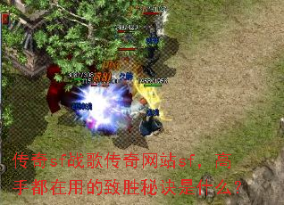 传奇sf战歌传奇网站sf,高手都在用的致胜秘诀是什么? 传奇sf战歌传奇网站sf,高手都在用的致胜秘诀是什么?