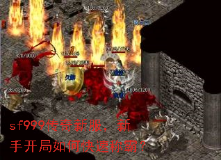 sf999�����·������ֿ�����ο��ٳưԣ�
