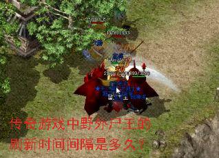 传奇游戏中野外尸王的刷新时间间隔是多久? 传奇游戏中野外尸王的刷新时间间隔是多久?