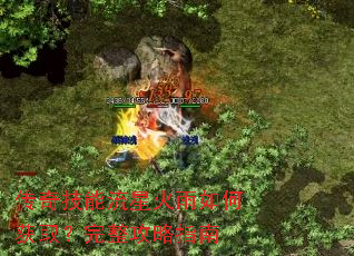 ���漼�����ǻ�����λ�ȡ����������ָ��