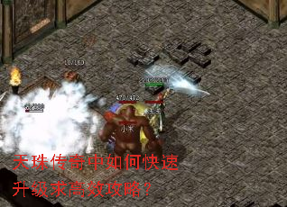 ���鴫������ο����������Ч���ԣ�