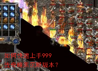 ��ο�������999���氵�ڳ�Ĭ�汾��