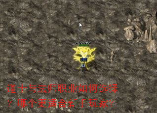 ��ʿ�뷨ʦְҵ���ѡ���ĸ����ʺ�������ң�