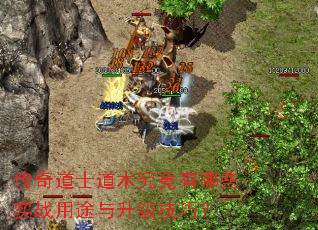 传奇道士道术究竟有哪些实战用途与升级技巧? 传奇道士道术究竟有哪些实战用途与升级技巧?