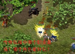 ����˽�����ĸ�ְҵ��ǿ���ĸ���ɫ����棿