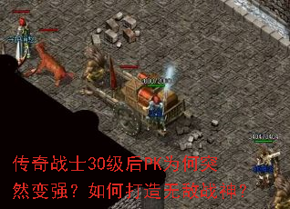 ����սʿ30����PKΪ��ͻȻ��ǿ����δ����޵�ս��