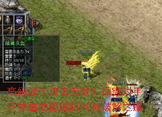�߼�սʿ������Ч��̽�����ֲ���Ѫ�����ػ������ƽ�֮��