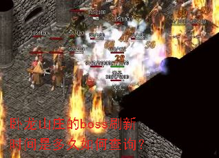 ����ɽׯ��bossˢ��ʱ���Ƕ����β�ѯ��