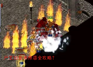 尸王技能书掉落全攻略? 尸王技能书掉落全攻略?