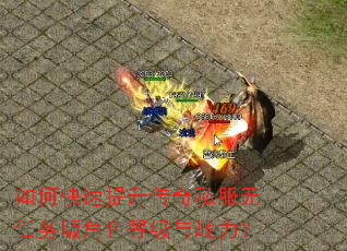 如何快速提升传奇私服无任务版角色等级与战力? 如何快速提升传奇私服无任务版角色等级与战力?