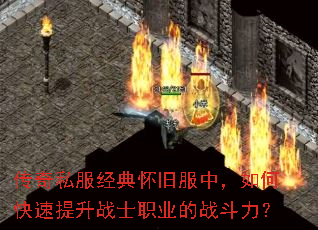����˽�����仳�ɷ��У���ο�������սʿְҵ��ս������