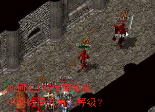 如何在195传奇私服中快速提升角色等级? 如何在195传奇私服中快速提升角色等级?