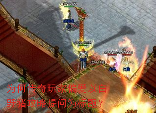 为何传奇玩家偏爱以白野猪攻略提问为标题? 为何传奇玩家偏爱以白野猪攻略提问为标题?