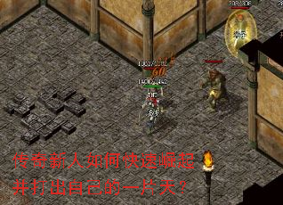 ����������ο������𲢴���Լ���һƬ�죿