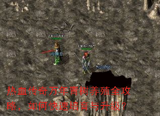 热血传奇万年青树养殖全攻略,如何快速培育与升级? 热血传奇万年青树养殖全攻略,如何快速培育与升级?