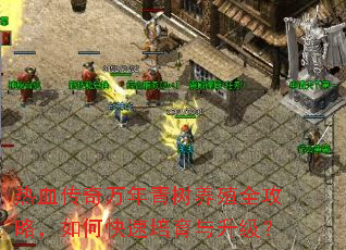 热血传奇万年青树养殖全攻略,如何快速培育与升级? 热血传奇万年青树养殖全攻略,如何快速培育与升级?