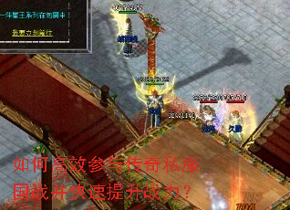��θ�Ч���봫��˽����ս����������ս����