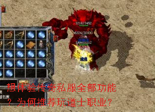 想体验传奇私服全部功能?为何推荐玩道士职业? 想体验传奇私服全部功能?为何推荐玩道士职业?