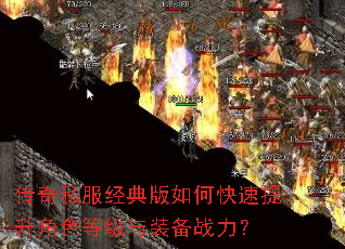 ����˽���������ο���������ɫ�ȼ���װ��ս����