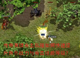 传奇英雄合击私服如何快速提升角色战力与合击技能等级? 传奇英雄合击私服如何快速提升角色战力与合击技能等级?